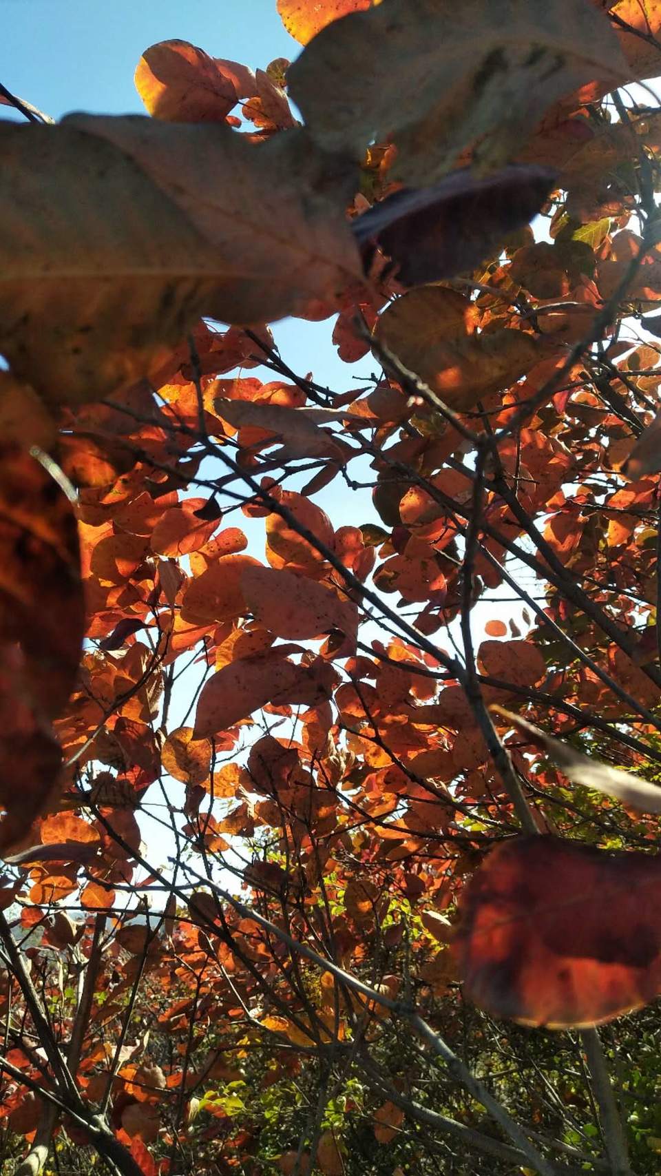 9QCR-4iUnEMDLV7w2OKfCoqcdYjkie2iPS8UtCKVxDae-X70Xhlh87d1CMx8ASlo