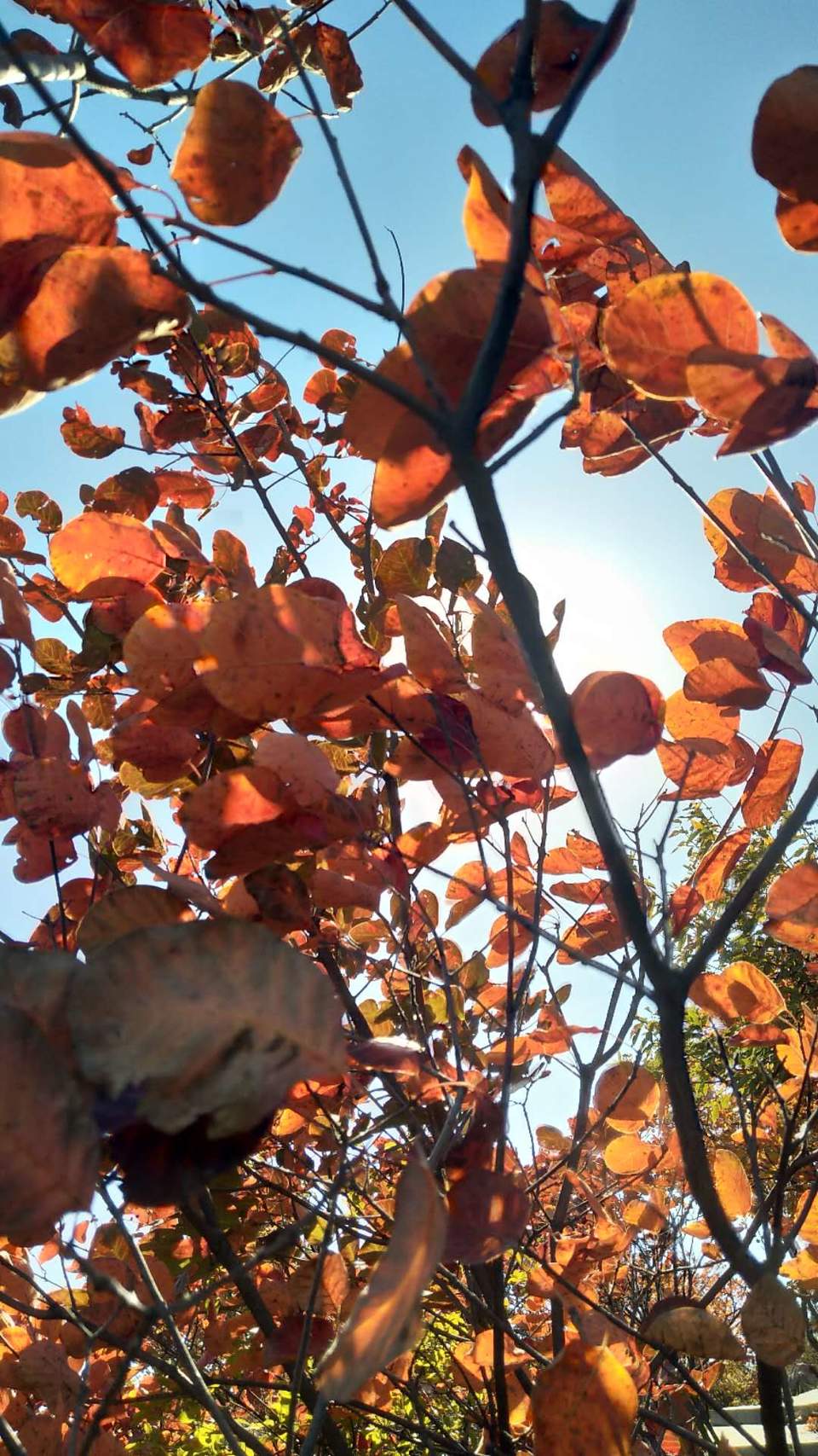 vApJ1eOn36IgC9snoZ5WD3cWwNWw1aHeW6u69VMDgq8GJifAcTNLKU8_HWvP0q8H