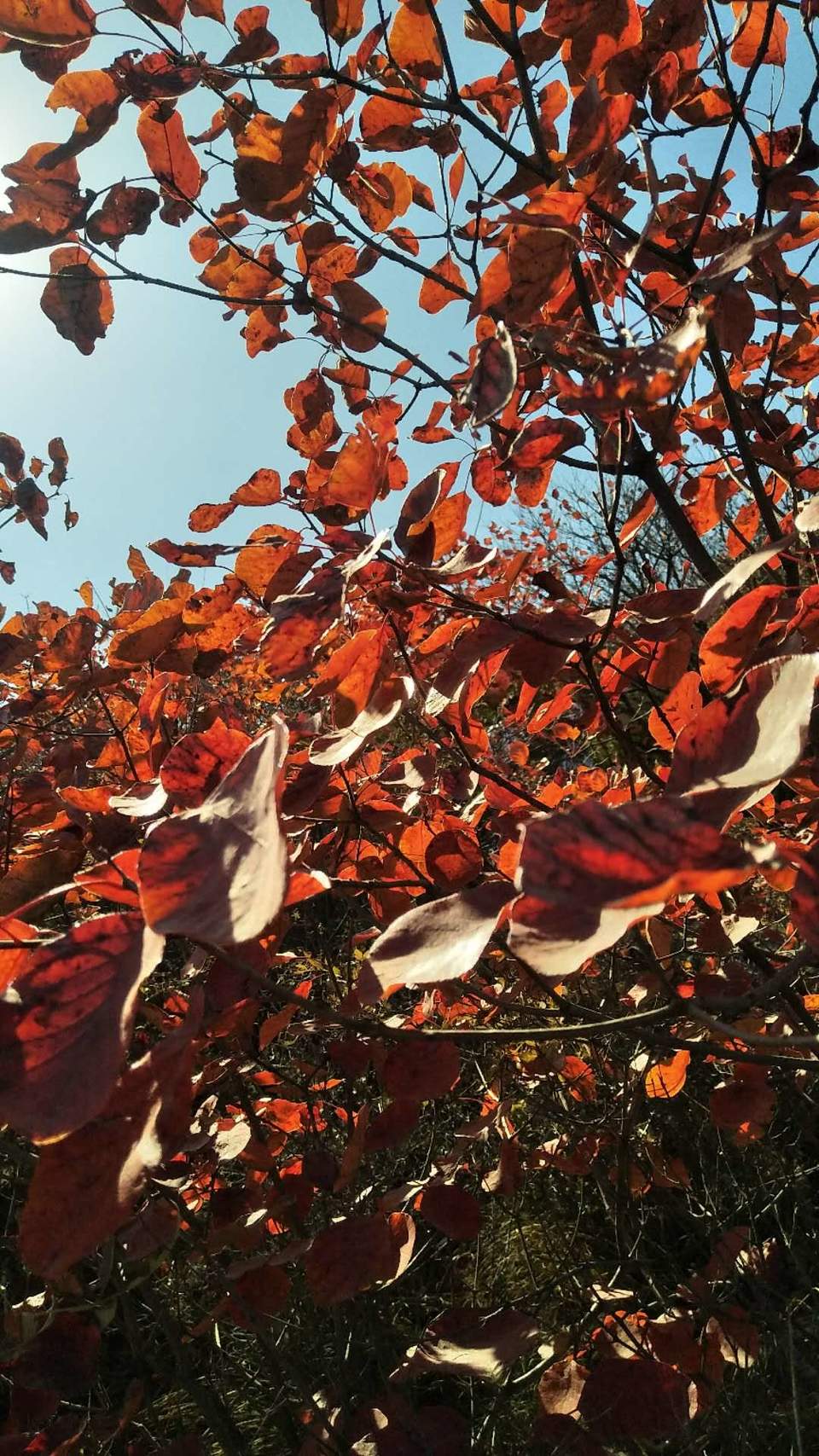 Q49pEUm2Ler1WhiwgJ3yuy4HFpEDK-3iRKQNvkp_iIDm98JzIOvST2i9DT8aG68X