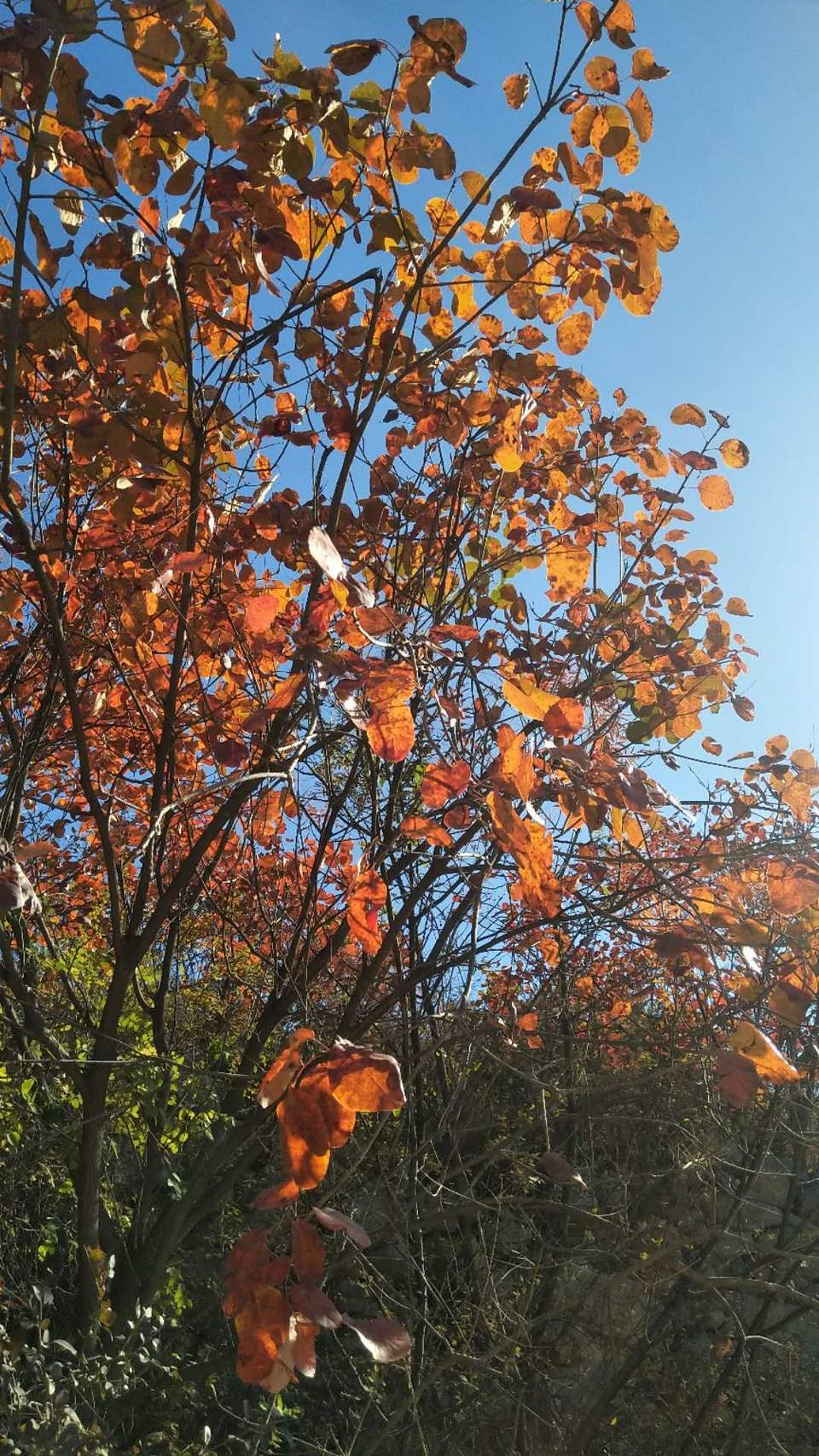 czDUrUs-cGUhD25nBKy5leh0wEERUdvgFBUqVpBjruO2ONR4DnDRmGFXR59C4pf9