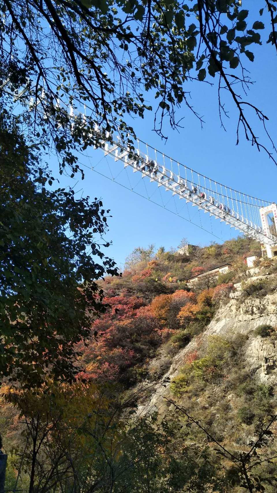 cY2kvG1TBuFePDM1fnoMR6bd8RrjoOtuoUwNzU4YxFR4UAz0vijDEwkHZ_HaGDla