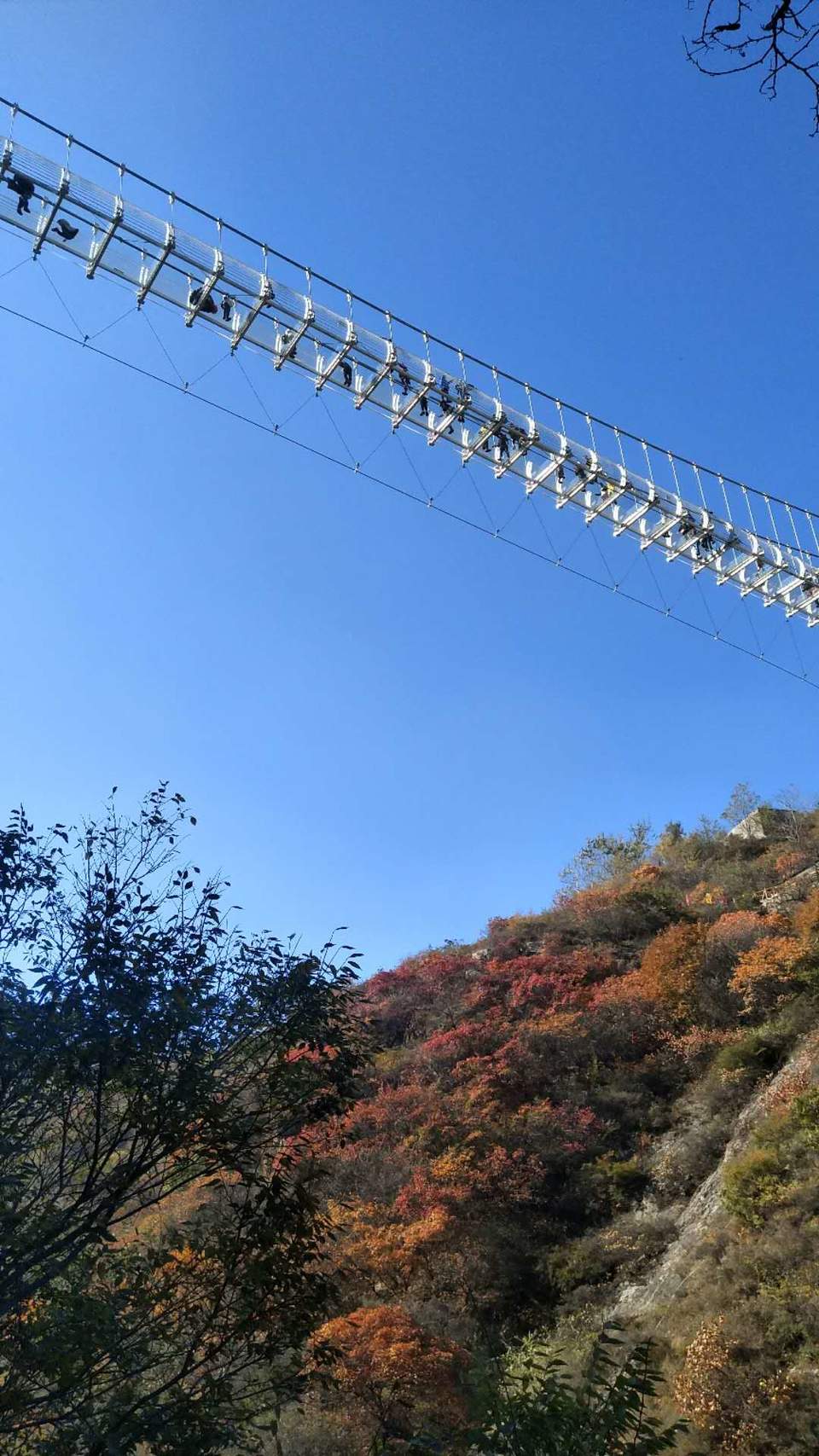 kil6xt6Gvzotg3QDlXbNUkr_mNh5xnl3XaAKSZp_jXiOpGvT8eCV2NFh2BGyJJ7J