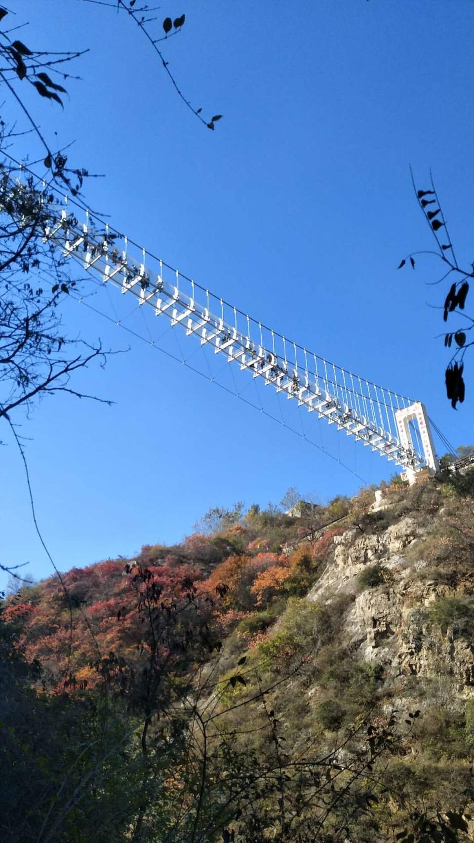 yQya9GGYuZKTCj32iajjkWiX9hAcPjnckly0gvRmALaja8NOMFW0Fi33hf5OvpZU