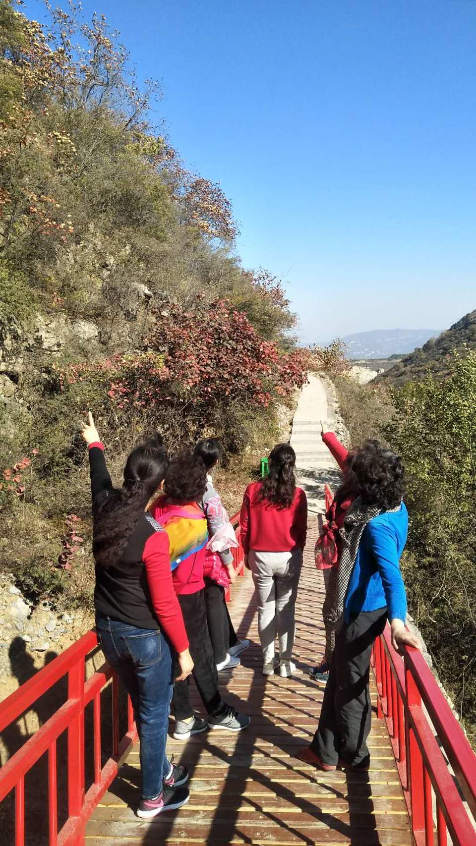 Rpp7SIrf3Qi2rciwAKpRQd0_m6bSCdUqWS5jeeT_BAWoUGSpjLvBxilH4MqhzfQi