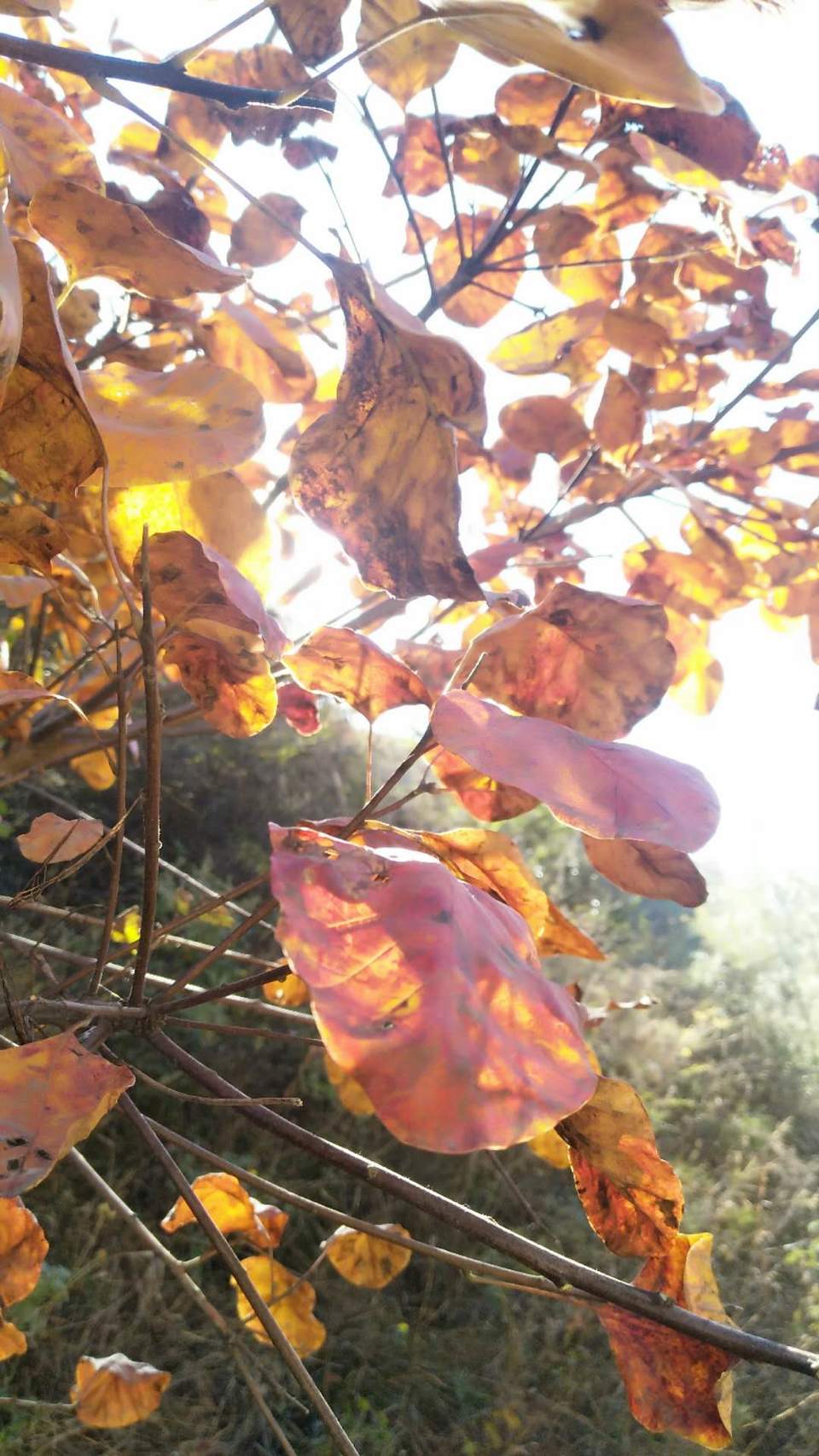 ve6y9mGh7W3nmMg_tHoqVdiW4aBQ6Cgfq3I6PCSdf7PhH9HLIbFMae5SvyS5sHaZ