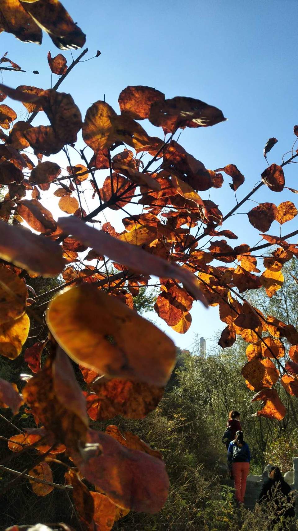 025UW6iDBpKTJmpkTjrk_cS7d-aGOxYdgdygjtOUf_ZIfp6KxdUaMYWZoSrttYq5