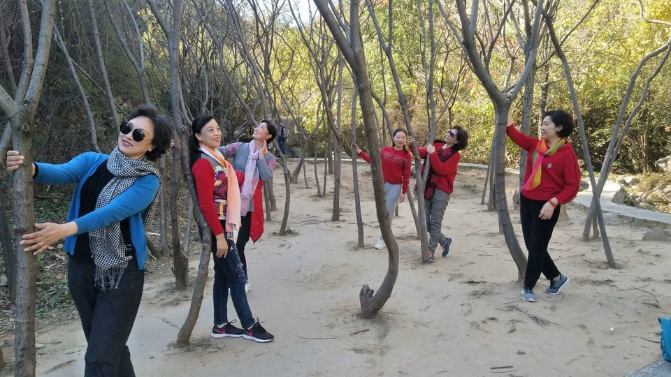 mFe-U4hzsGpojSjL6HcmuY0WsShF-NByQTB49VDuni8UnhQQHEzjQkd65Sj_o3US