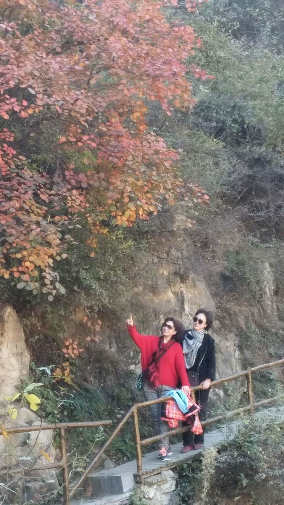 36Sm2GH-Fvs82KrQW7nAuNIlc7m09ow-H3baCBgSnVdUMKyjlTJ2RC6izuZT-4Ui