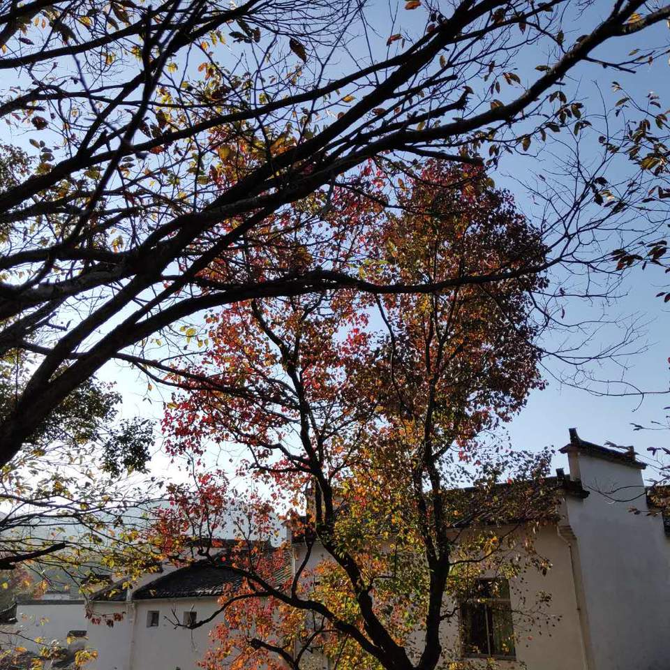 F2olMvOuJiRbY26XWfV2dJhzgTBuyBaPjcyAYtADatd_8Zl0Q0ZKO4XQ-vdTVq6x