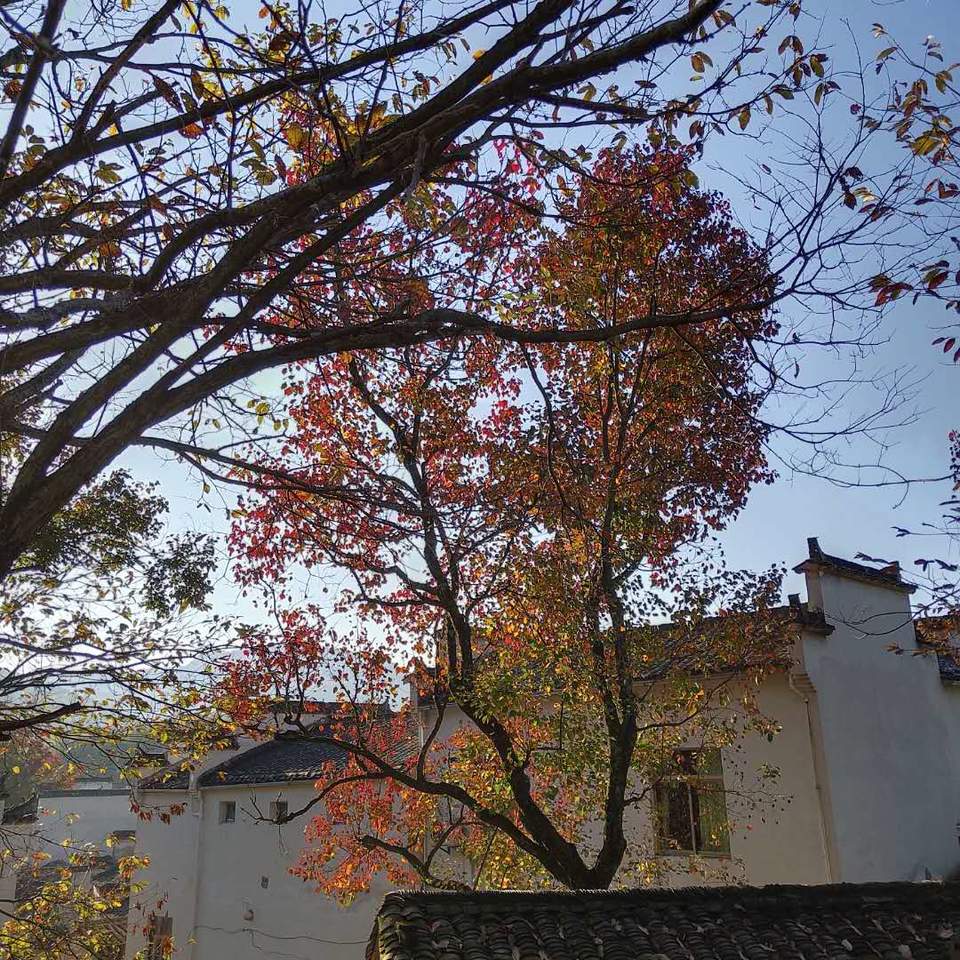 b2Ff16OcPQlpw-n3N00Zb8HxUko50qisoa2ndLtcLu7u091SqYuElY_8bvEgn8Ew