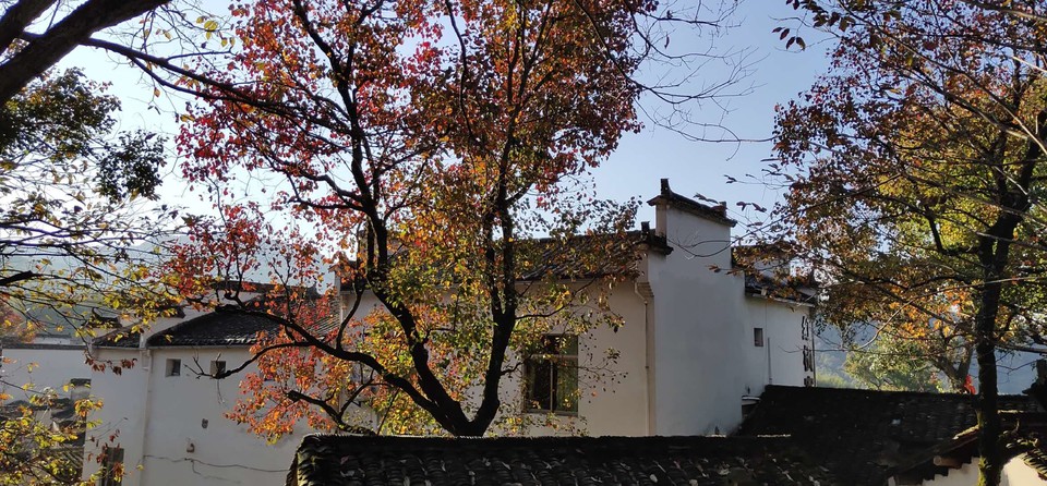 OPX-rdMZsPbVAbF3Yp78giaHvLvpboQb3g_A2hzMHbrUuCtZsObOi7bnosEGAPxL