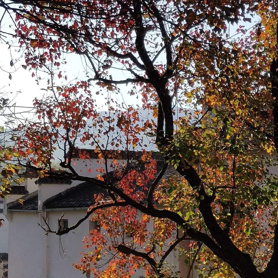 GRZmMptJYC17dSRcxZ4BXSQaKLjVcraoPg8wVcbuCASw3uXqpYPTB5CQOc-GEILB