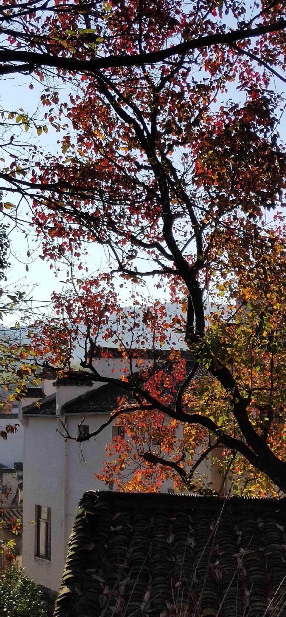 0AhPzwV81ZsMfhjJgUFOMAsj7ehXLOAVfcbvKoRx8tW5dPTJg4EUlAsdnhV4Jev-