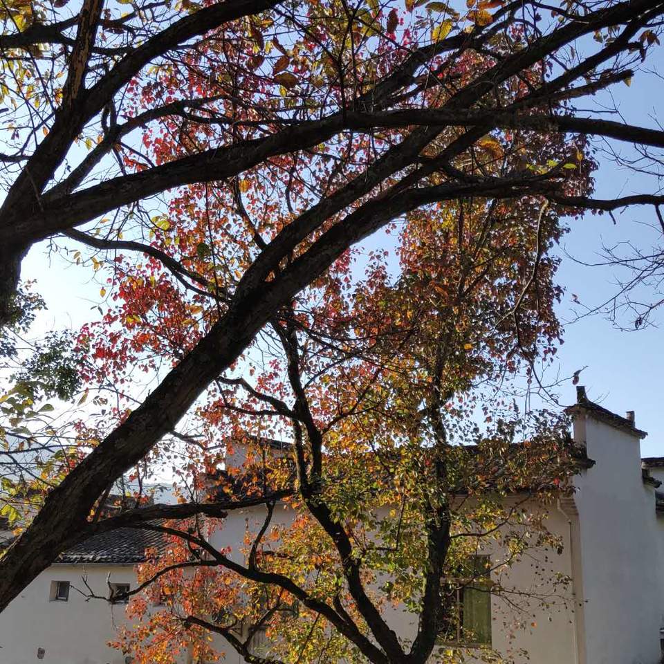 ZdcWaEtlYbbBay2stl1dZsQSSmQv3V3TiX5Btq69aZeGUb8MNUtJuKjJb8S1qKEP