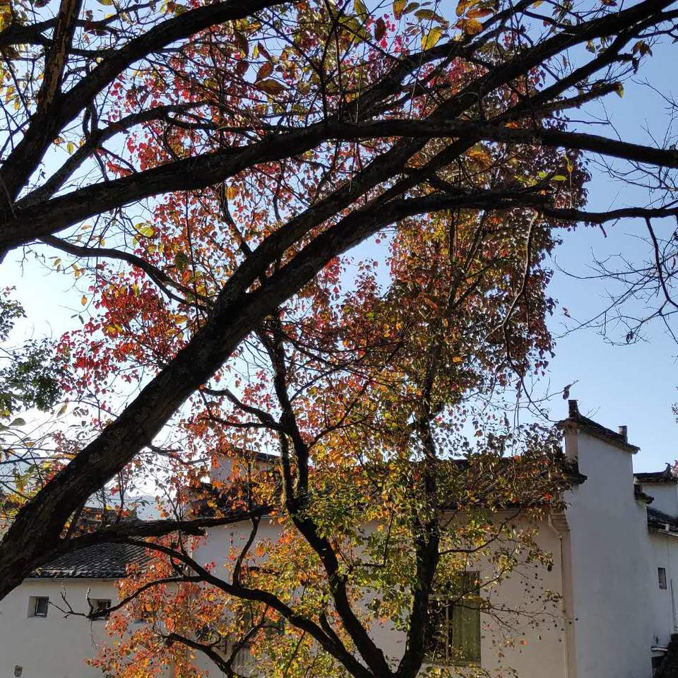 20_bUcaNoa8RWwOaXHKXfpdkoSUQaa6emxkSlHHd3AJkr2WTA8iedKx-DabzpbQU