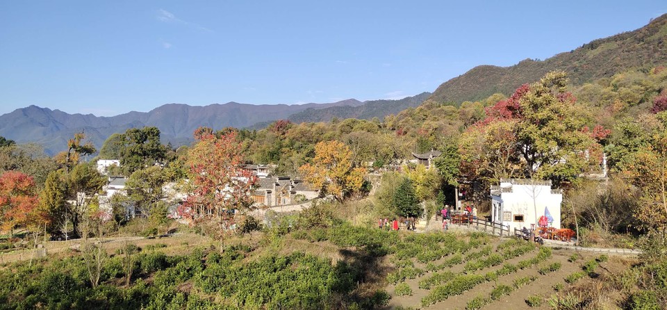 eD8vVFh5cy0jOSlIy7XVnbI28isUjiIlDopXjj2QmgmDM5fYYol6a5R80T9DtmOp