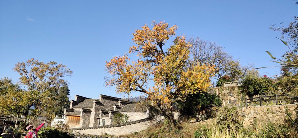 DGYuOzrcB5c64P6OMboPRYyIyAwhNAxuSopMFGAXyDyOV0Rn4raFAhWPOuRq_mNT