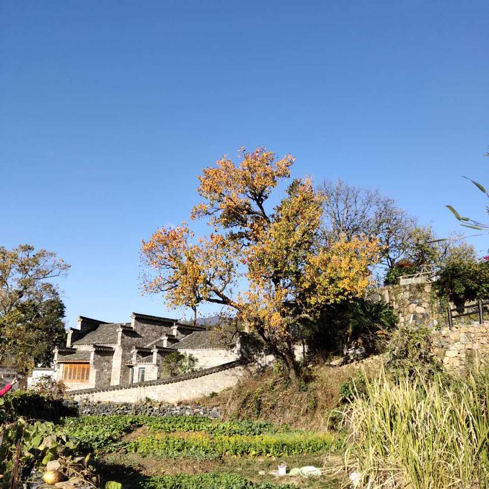 2bpJ53TOvNZhLzUM5iAGXCxNnL72syK7RLIU36sQ4uPm7MDeyEptSk8R-l902XTF