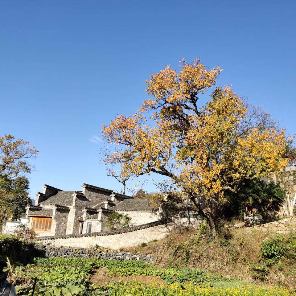 VN1cT3zbevqGNRwGuiRi4ihQzgYXK83Z3OFLC7TyjPGlLLxUAh7IrfPzmmRqWg-m