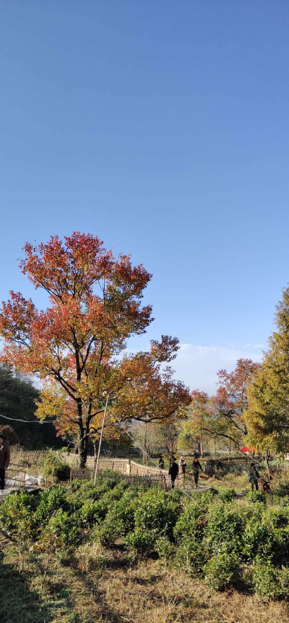 a_VyBcf6Q_-0-0J7o5Kg_TdaDGgeX5rbIZerB9LKh2dMW-pBo-2mW51uLHsRwZX5