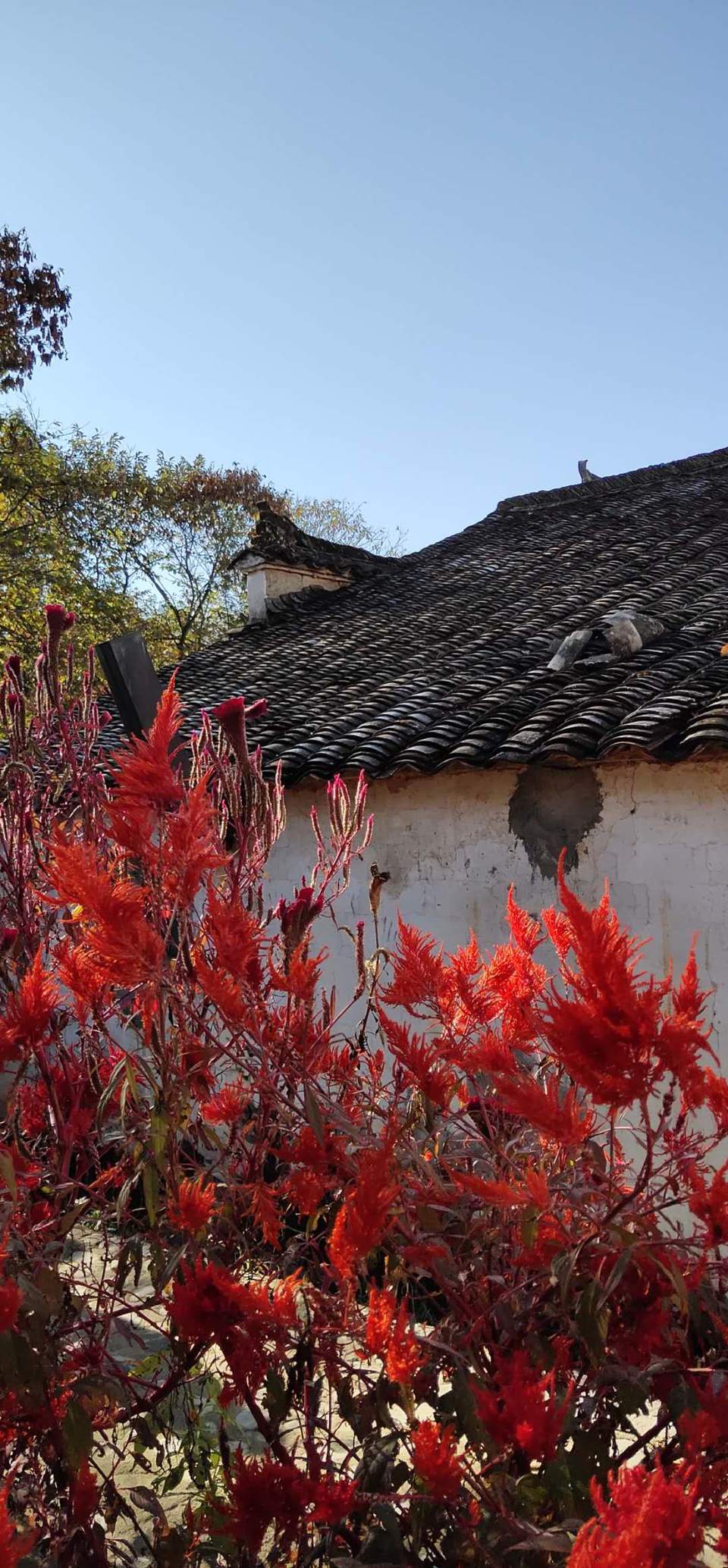 c30nALFdGS__CxZkoV0HZ4wB8GI_vv8uQZQmdzlYRTYtWkEL54dTQuMhmDpguBDr