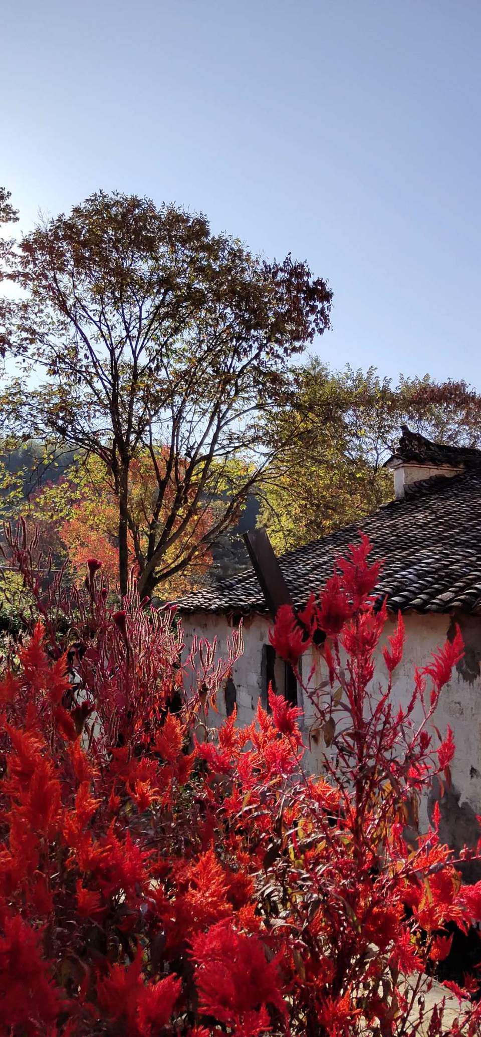 DNxvCg78TJBrPbMPHV8aYsqQSzYZpZcG1lPeq2jcs9KMaAyRkiyaODjl9uRmjjug