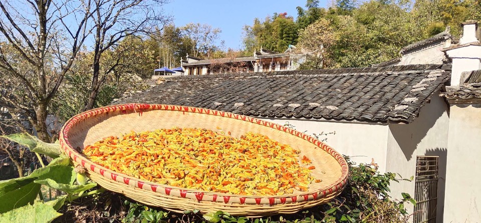 1b3jSQH-qnCtN8dy9gigyPZzIgbrHyVnu2B2EjZ8HeL0WzG-02_zB36XAO4hPPql