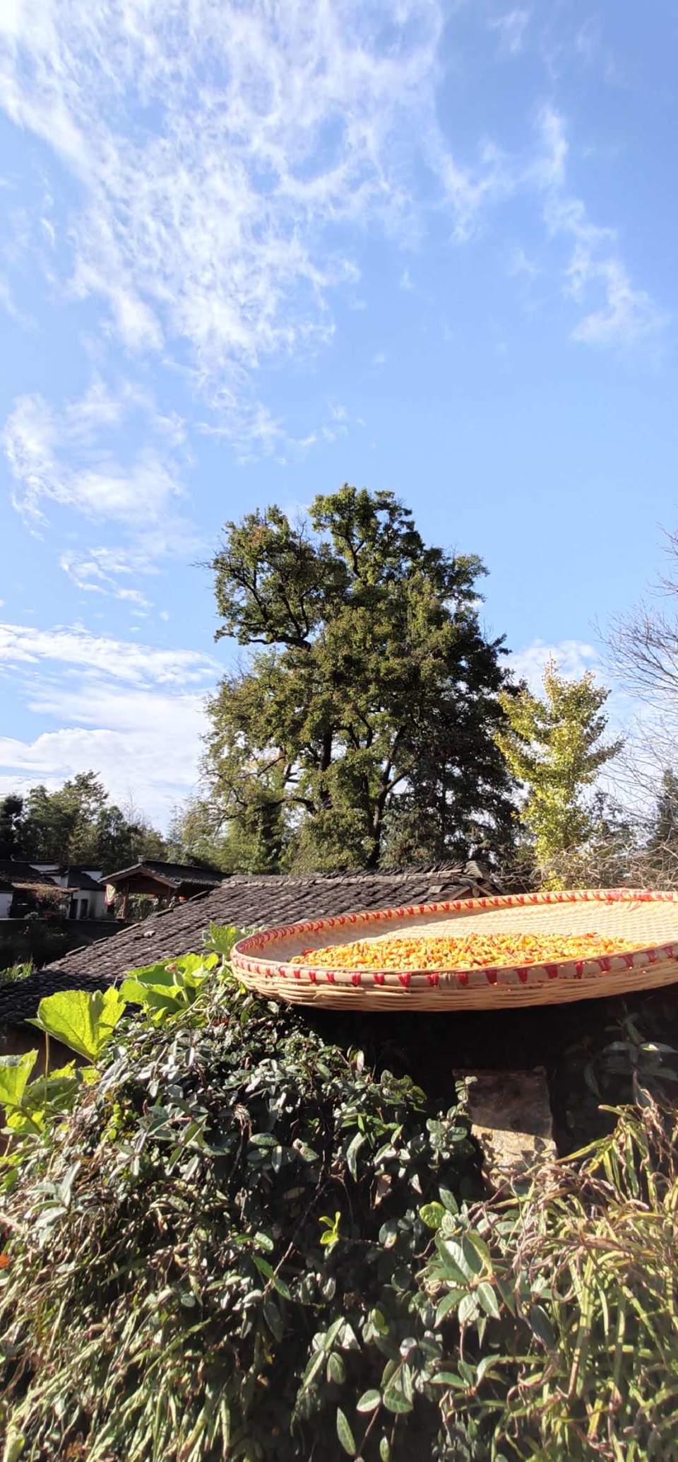 SzaKUq6xM5Pf20ncFvasmmWtN2LlPwXsx5tgjkc3C-kSr0eK3ttvt4j0ZSIU8FWb