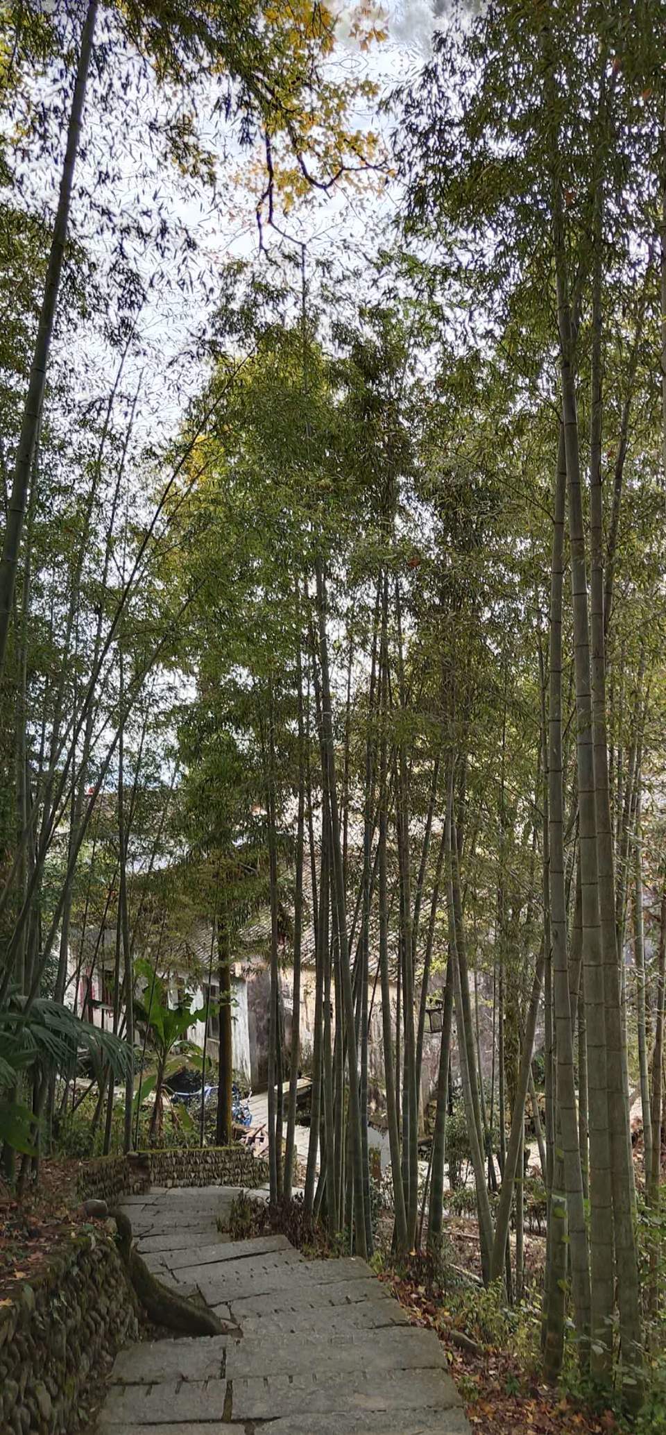 k_dbrYLVcWoWK2QiRUGRzn03W9w2zM8Fj3Asn7Luu1bHK4djNpd-YrMKkK0UJSt_