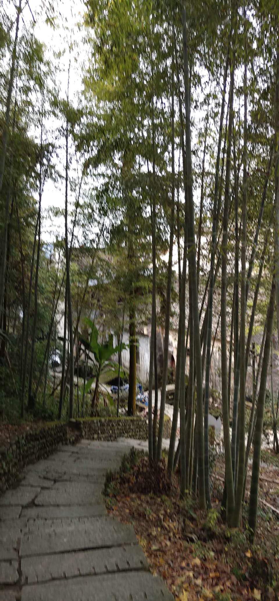 A_fWuOrK2VQmWIWuvs64c8TPWkVdFfGs1lDkEGmqRGuabJJk1lG2cRkMzglEMhZW