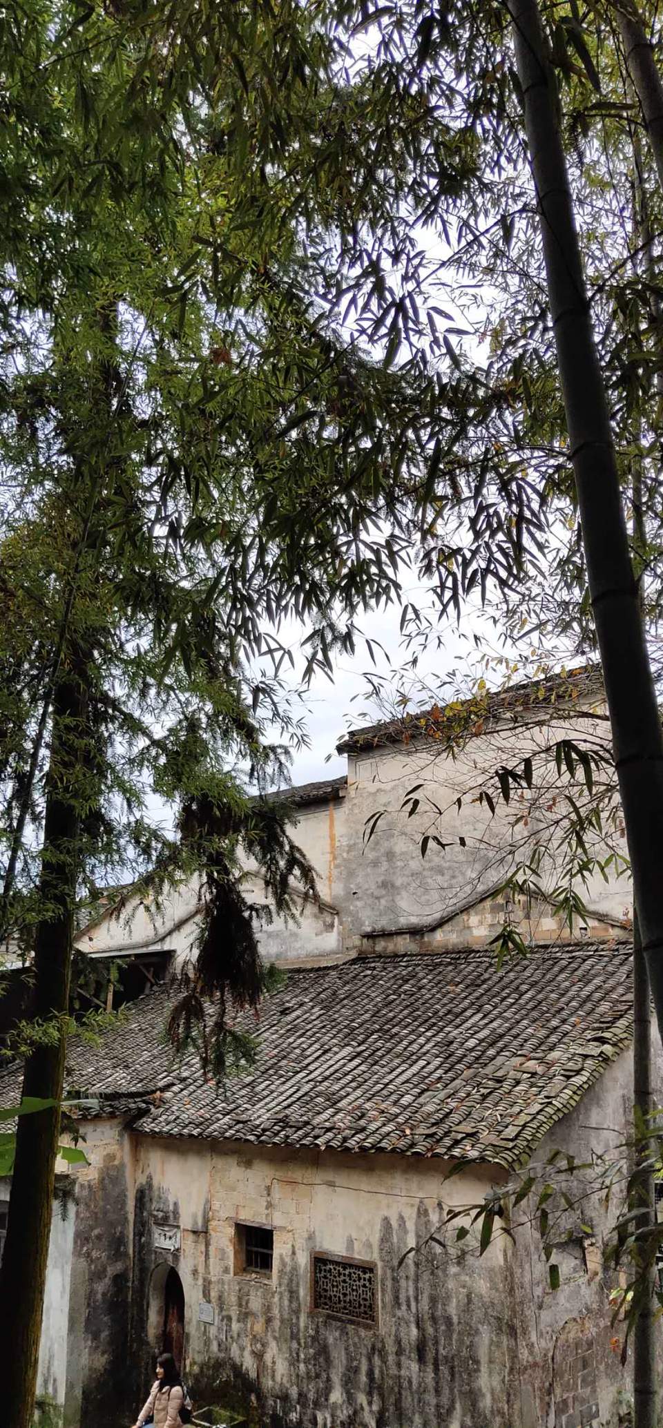 noR8BBsg5z9umDut5jyguVQ0NcIAXdnaZGww_I9e_LKNuaX_9d3v1qn9G7kAZi8M