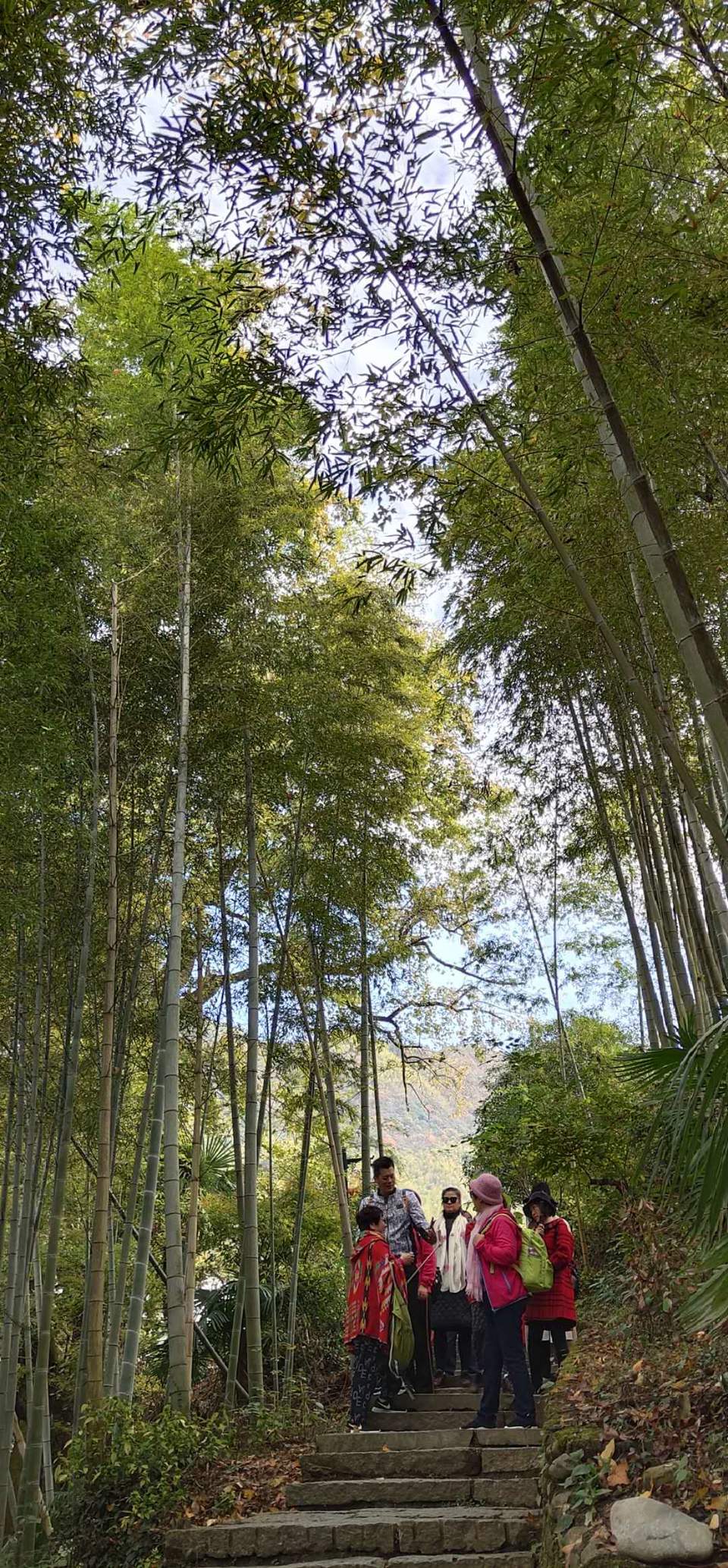 b28Rl-3nPifsFPU2i06FVgTV9iochmLYvbyXsArJswd0YbE4bAo7E9nfpJtdZqsr