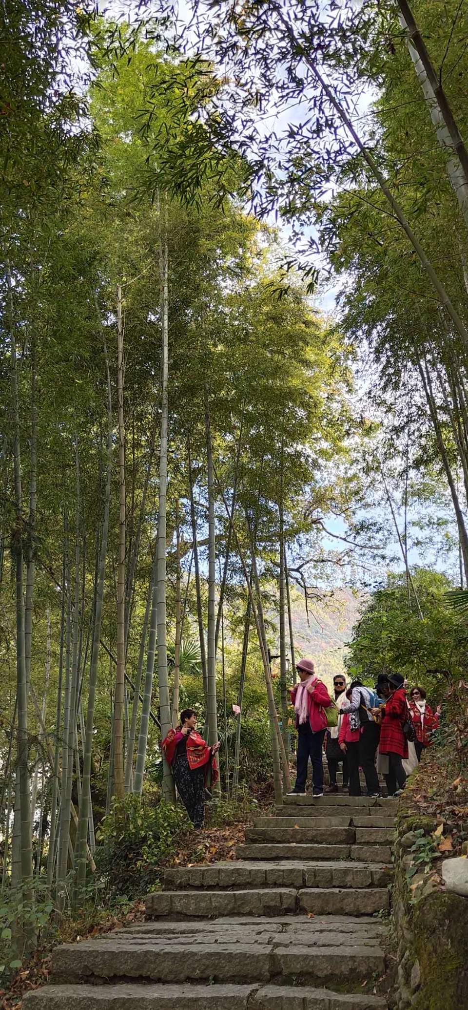 nH8bvp-xC_WjyQxLjP5lpZW3yzpUFwQK9_ML8zc-C2zvM5HmIwNeN5IWq4vZ8EQT