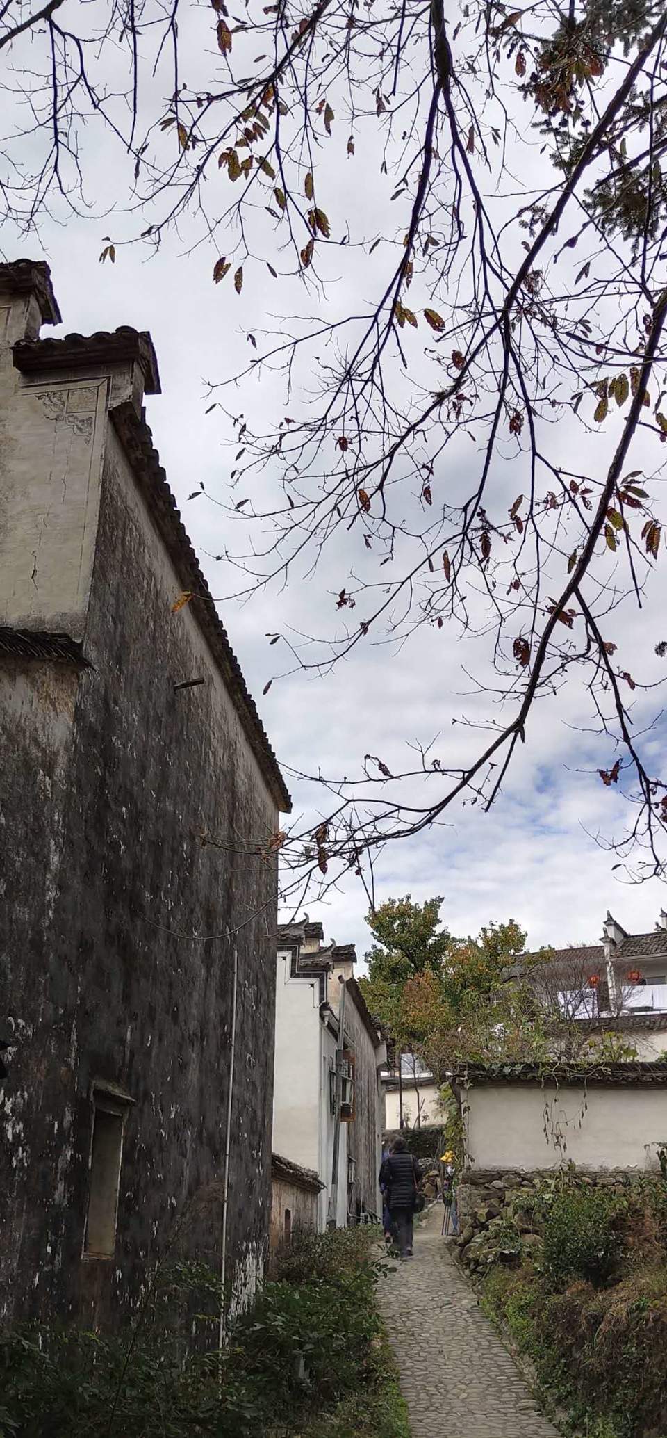 NBI7DeUHc731stx8-tidTAQ-G9neNOETK-aB8ixuyp54uL6eNjSMdmWVoch1rHfF