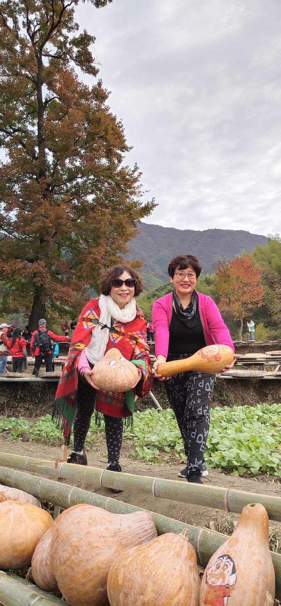 UbGHJ9HWN1RdbUGzy7riTm1PQjrzrrweoTIAxBt_Wn2GrS311l4C7WNqT2eQkZ18