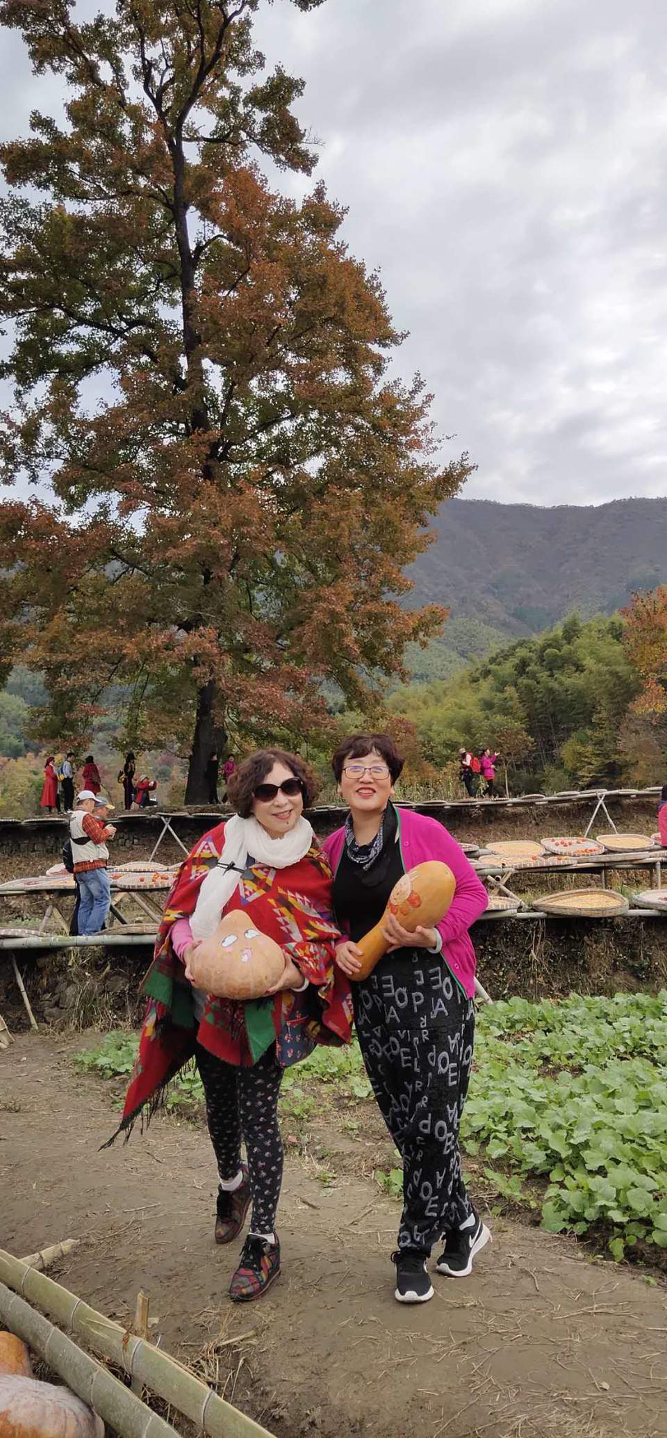 qM4NcSTO3rUAL6QPx8adeo80zteWJaXJXIolgyqEianBHhfL2JNybWkEy_pFYox1