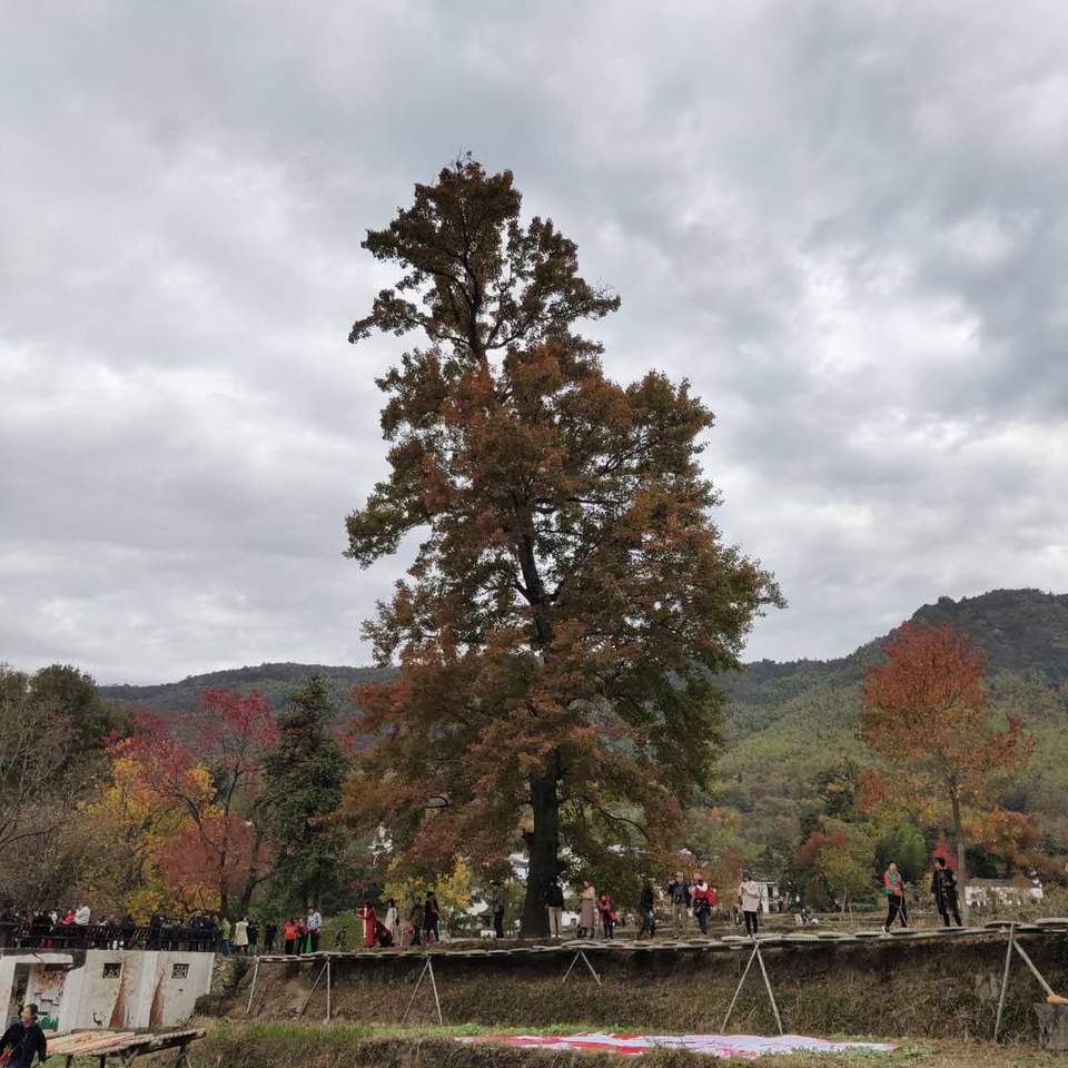 ytaqziOj30QzvLx4Qrcx5NDwHWatBGwo0qBSRV41gCxhWyaXht96UMEXVE-xdXOb