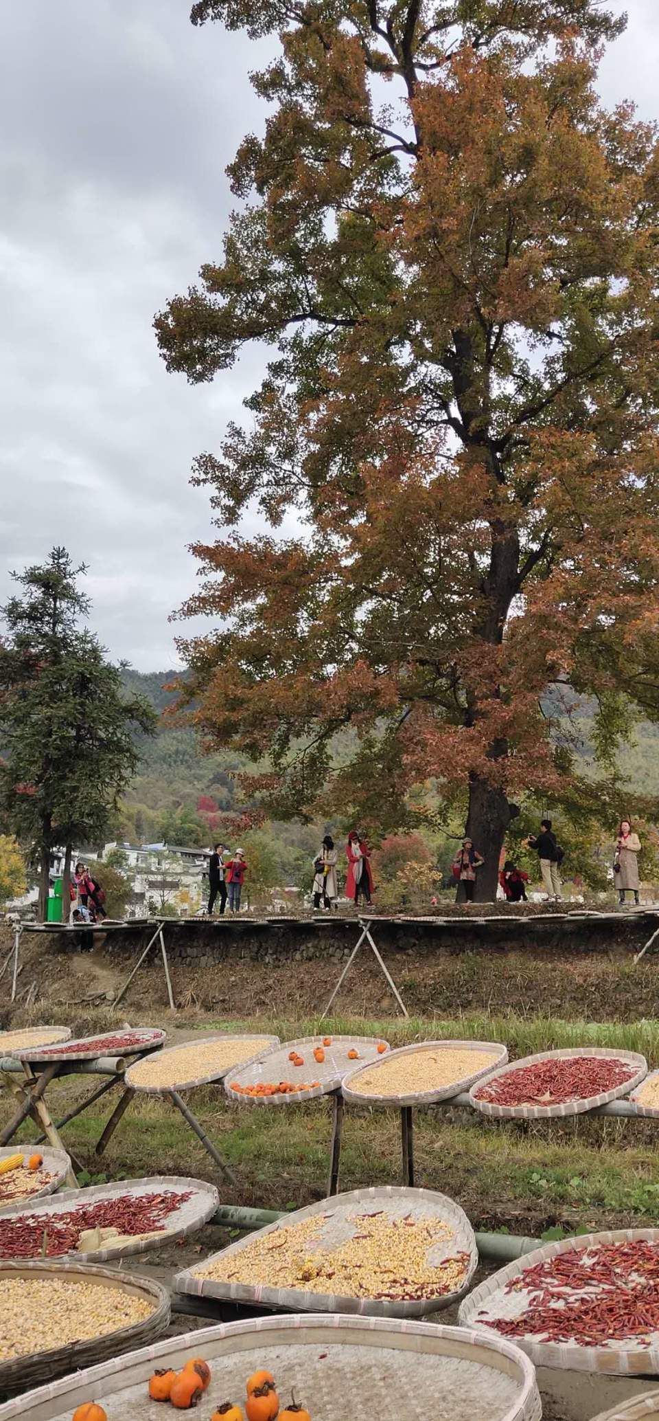 -acGe2SpoxsW5R0shratz6tjn3VdQY58itlTI3tNs5fkY-MJf86xCj-LibvH24Sy