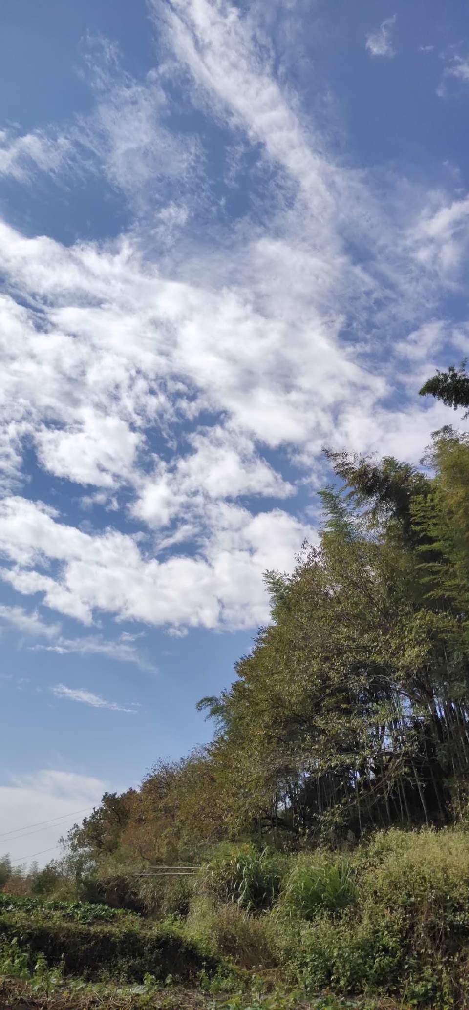 pfGzWloTt5HuXgHu0B6yI_SXX4-OBfWeG52Zwisk_KUPRQerOw610D7NIfO_L634