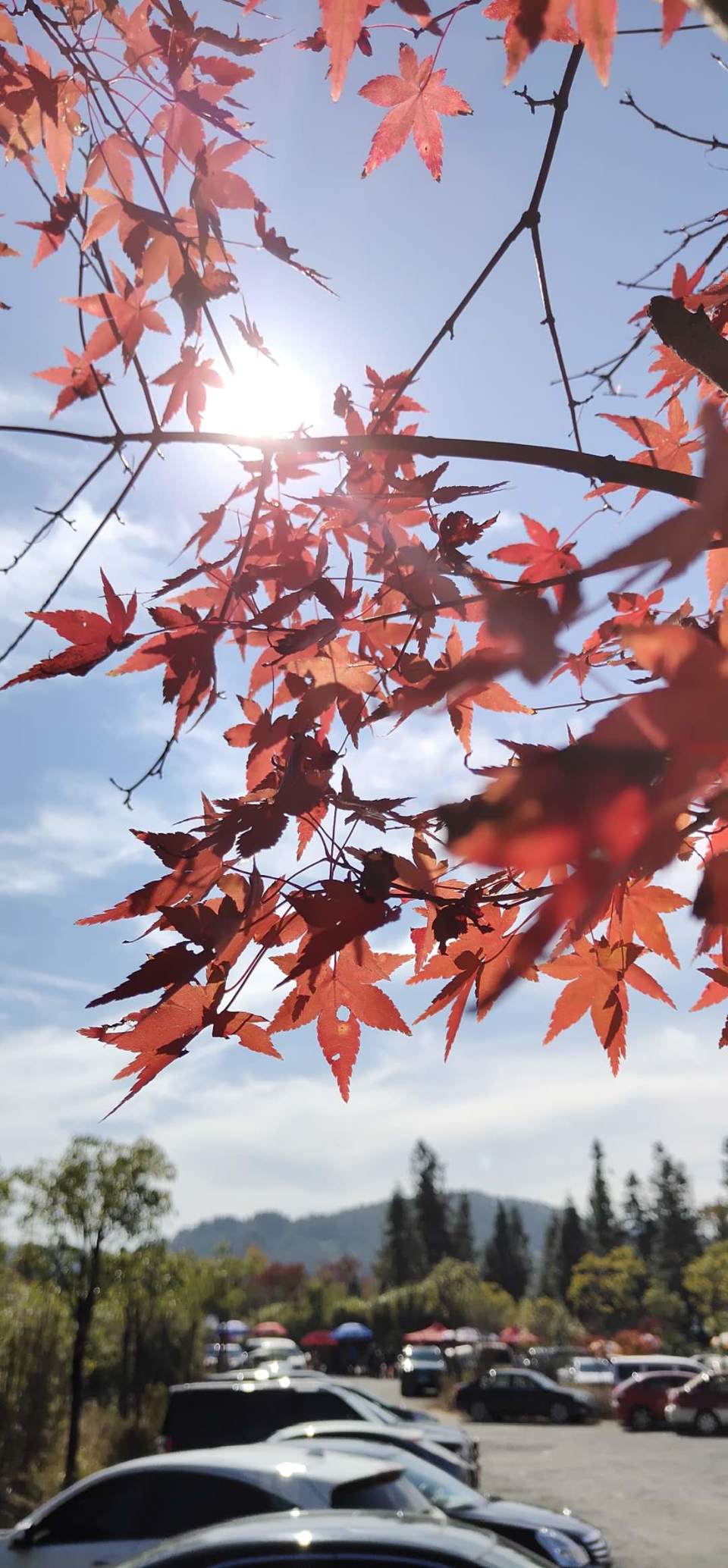 kDYfOP-HMWDDd1nz6q7vqUYdcEgMclkpOp4q3HzH987X5t92vYj339vVxLx3kBN9