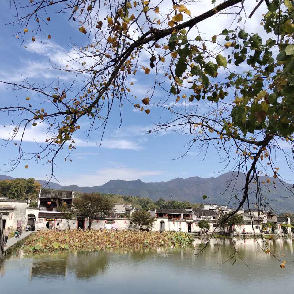 IvK1xezPT60g0phVfwgfQR3hNUkG8JuJ6hl4og0U9WE5mfumBRWS6xiISt-1XPNj