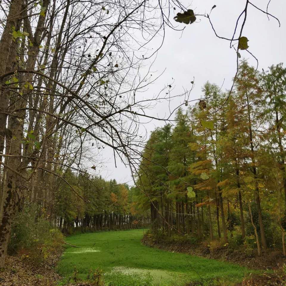 OSvdxF4872kbsm7-iouifoohdulLMloYU3aymG8LKqAhSxRt9iS_4vAH1rF99P5Y