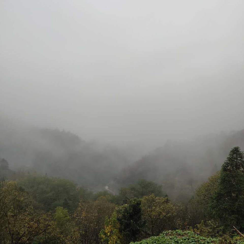 f8p-esEkIqNapB42hAY_vjZxo2AUVEDVTNRqaoCRGfLsnLPinSBoTFiXA8umn1yY