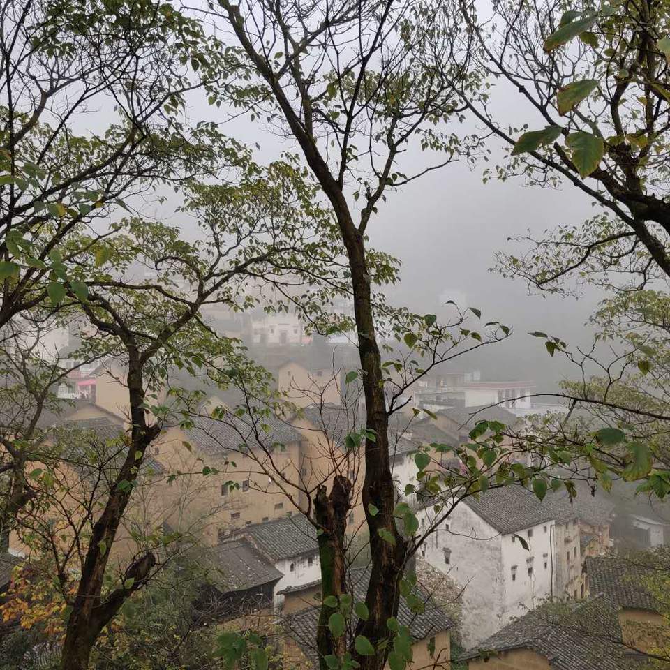 Fn1P3PrEGXYp_883oQvjXJYDdNSprxoEiAipBb5fMJcRVIR05UttlkHyCVGuES3I