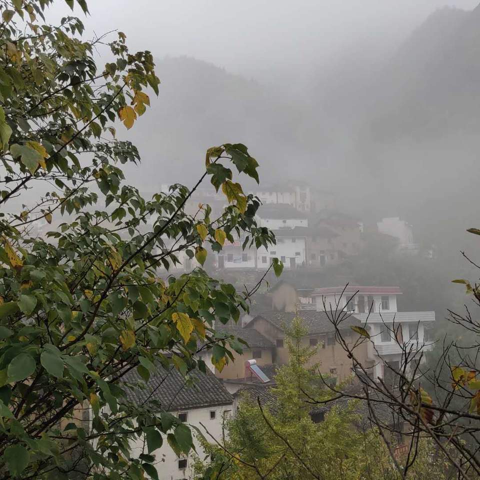 fl-_YC8_aeaQTIaxVe7h8ca7HG_ANB8dwtLLVvPX57XUYw1hJ9iIc8mia46o6w1i