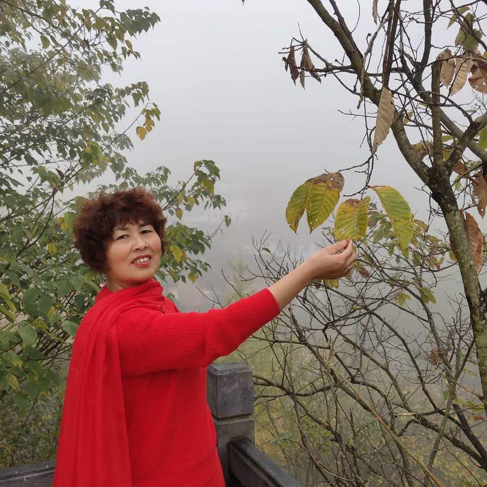 8a-Yw4Fj2kTxLGN_vJqVR7voTP3qbGZJI-KSEM-vZOvrz0T-qMZyBgu3lQBqM4Cm