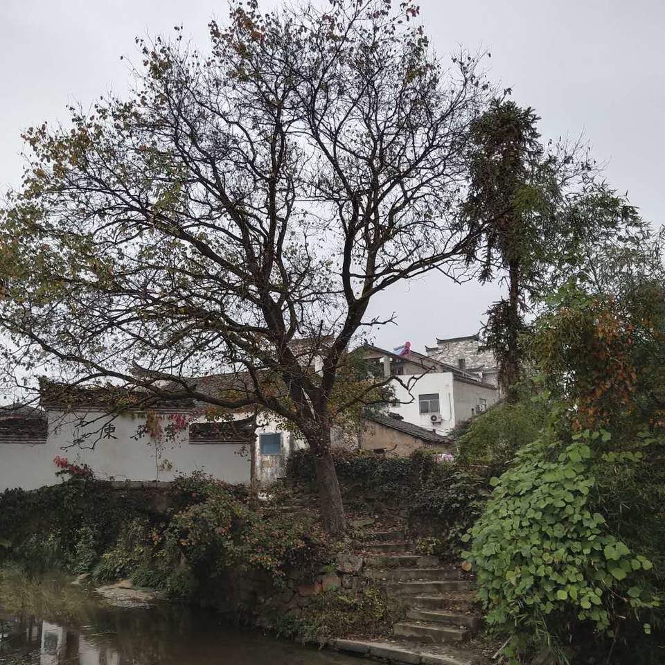 n18zKdDxYlSb1Midtlje_WQdRnWGt5CiunprsY-q2XYUZAjtfcKzVsK8mbALQ66I