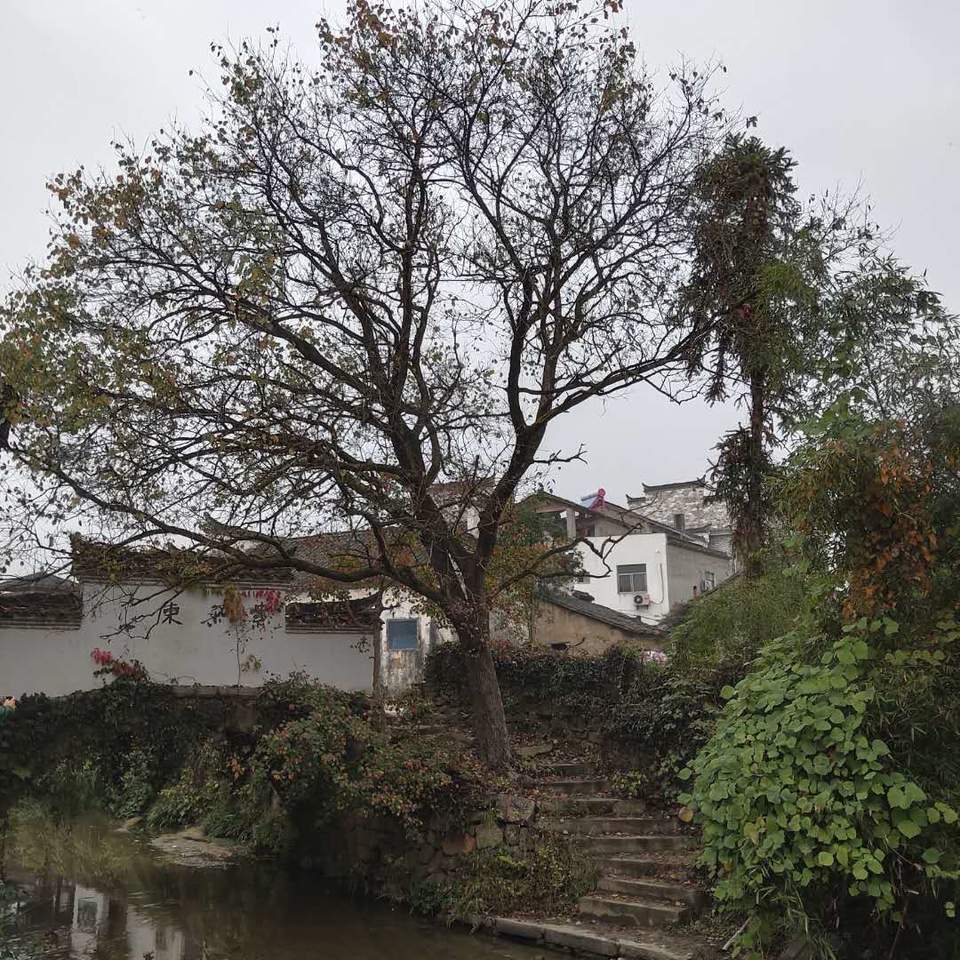 4p6Evxamdpx02ZeEn7VBscE81UAUrtO1m9D9H7XVG8BDzHhQa9ITDf0ZuErEGYP_