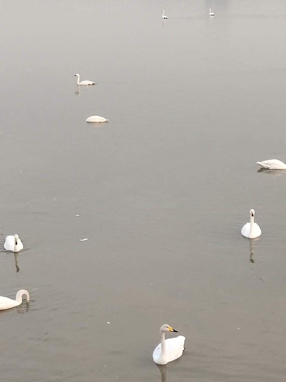 I_0NwekH6xiv8KRz0gHcnLmW8Zn8QKE6i-KIvfFEonLD5ADssByQxTal409bY1CW