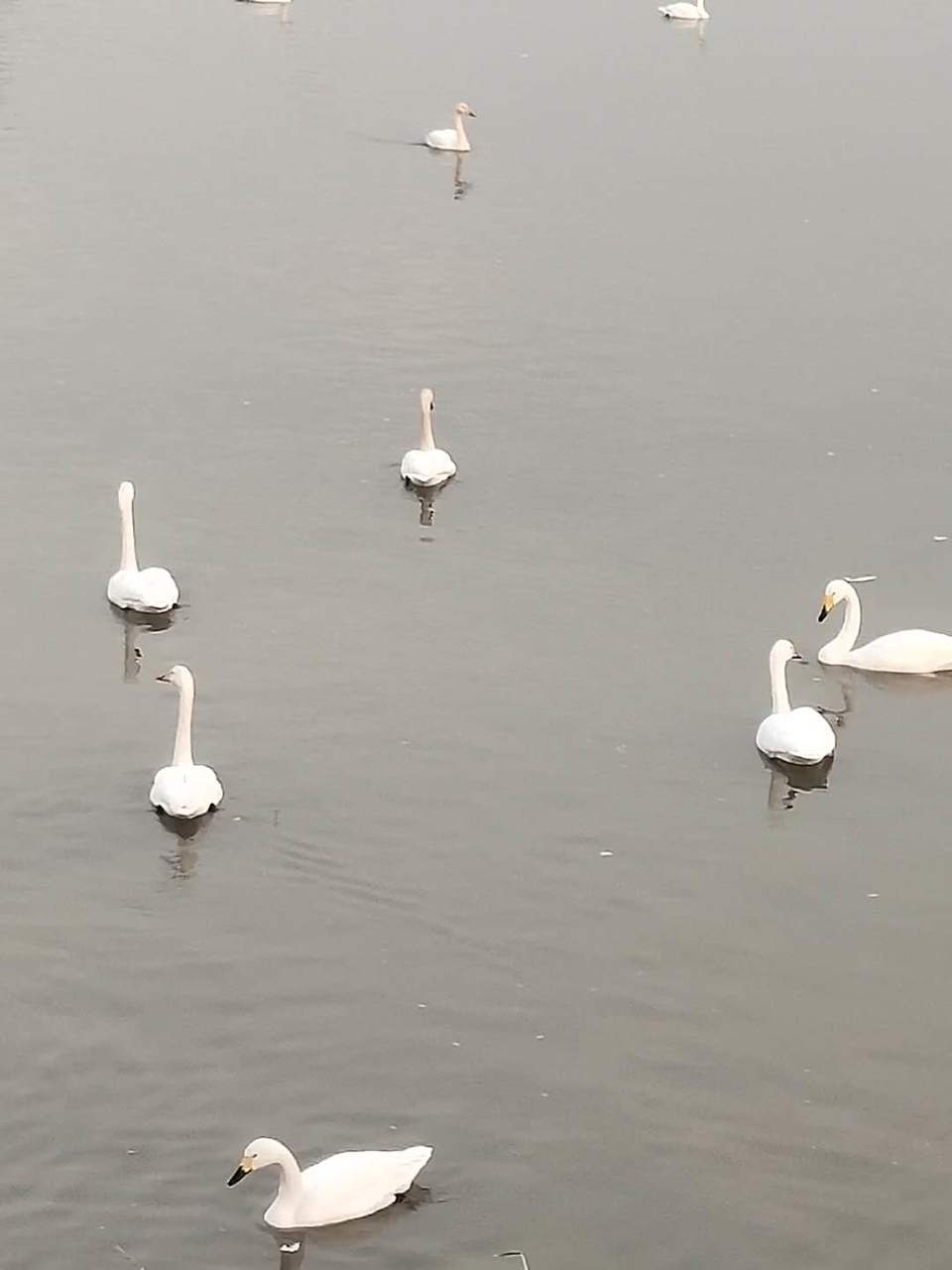 p4-Z8X4pHHdKoK9FzT2vgJ2mTzSq2Hdt0fG4FgzE7We7V38VG9To0UazP8qv6VMX